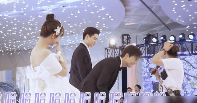 刚满一个月的小猫吃什么游戏画面